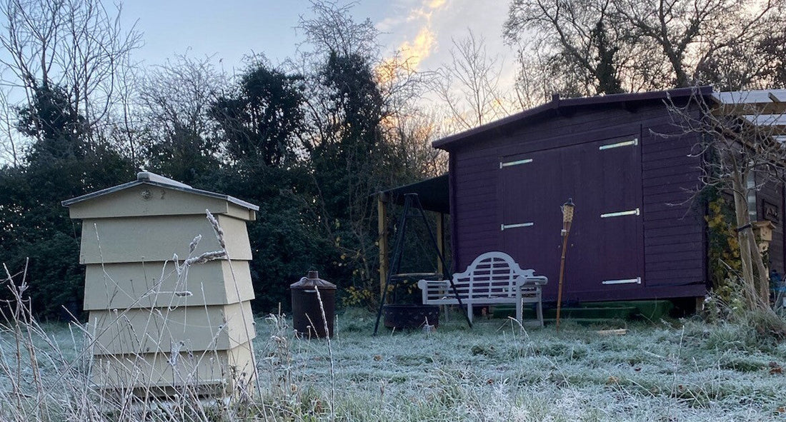 A review of Feb 2021 in the Beekeeping calander