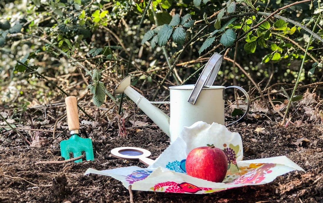 Bee Friendly Isolation