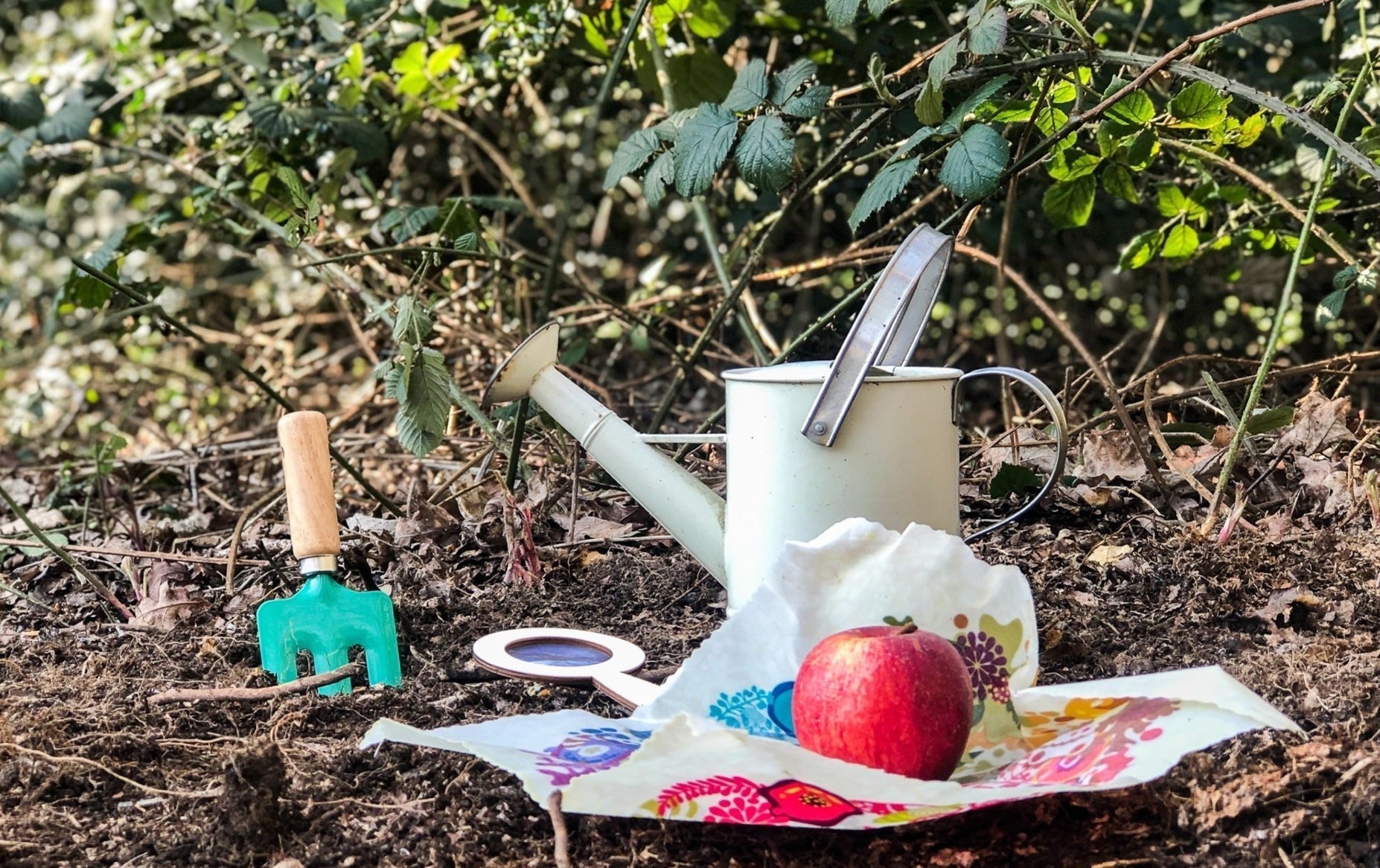 Bee Friendly Isolation