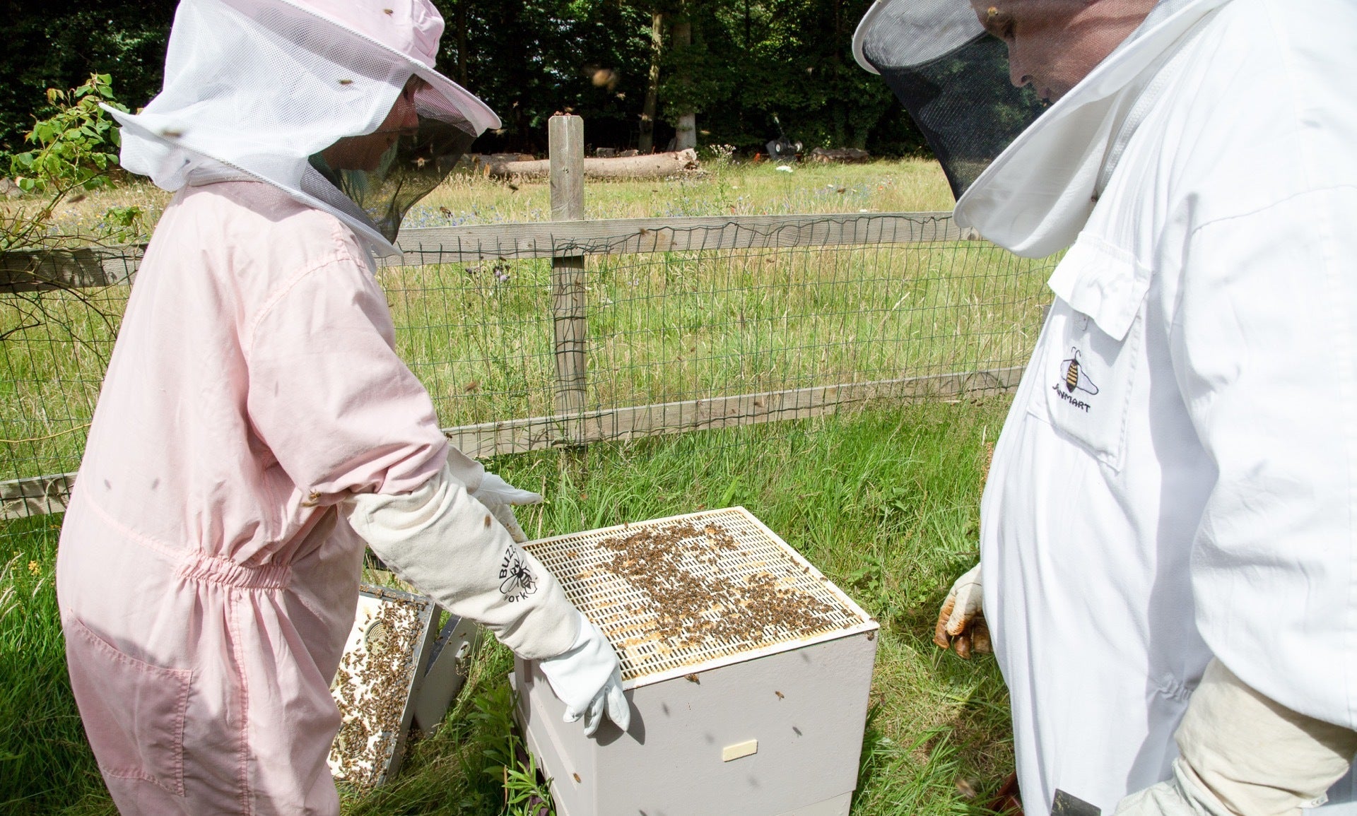 Thinking of Keeping Bees?