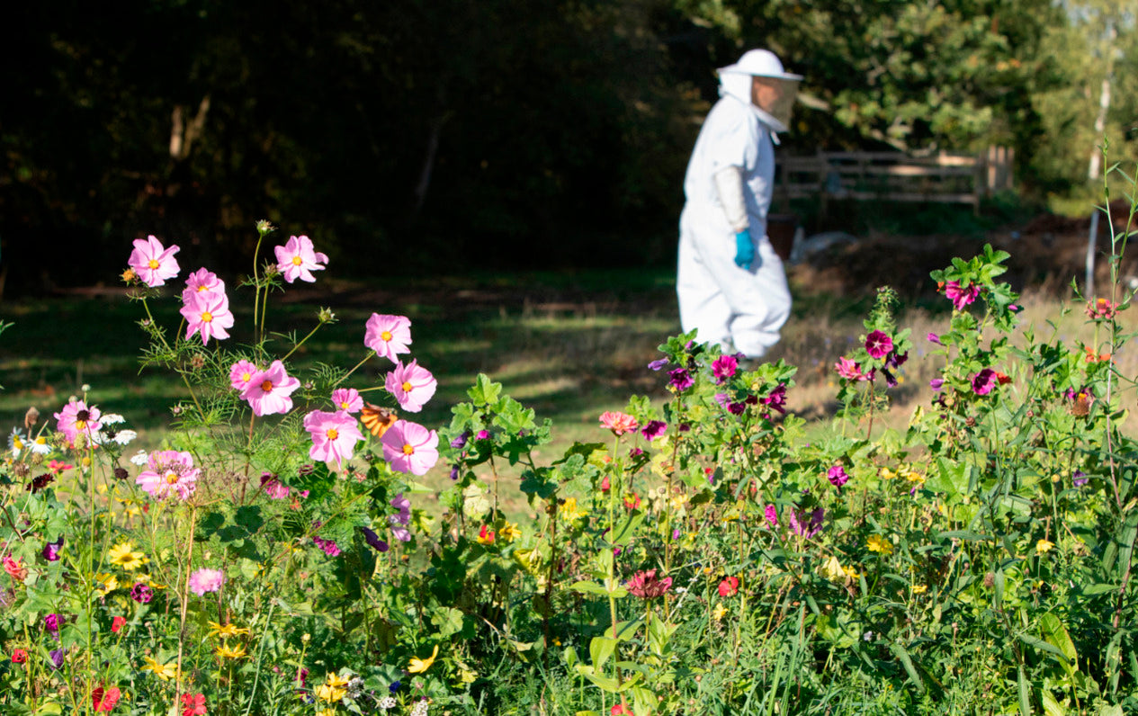 Person in beekeeping suit walking through a garden with flowers