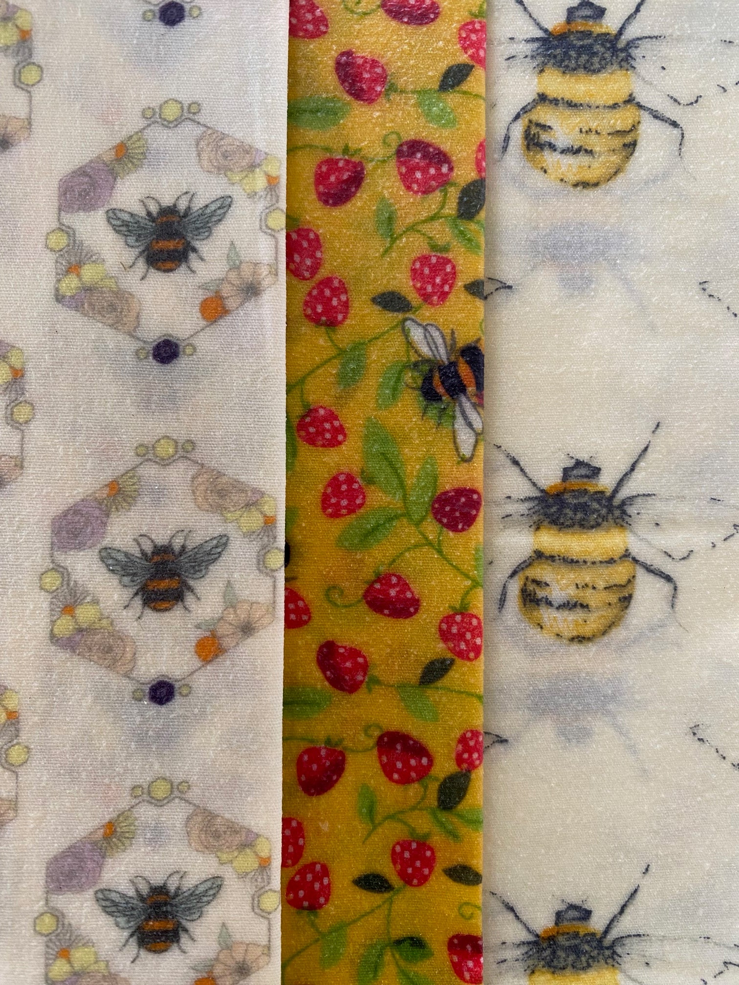 'Oakdale Bees' Multi Pack